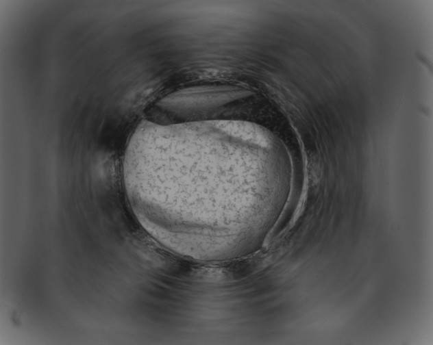 X0000091360276200709071310