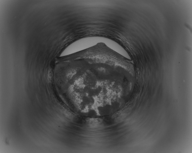 X0000091360277200709071310