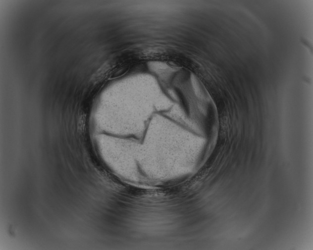 X0000091360278200709071310