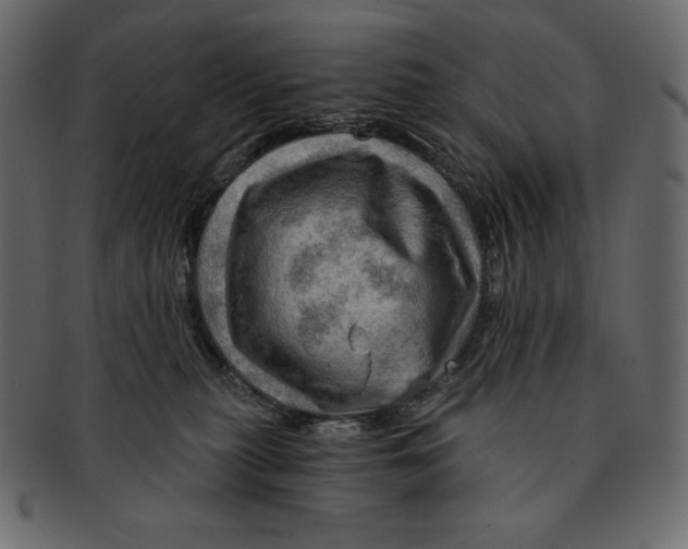 X0000091360279200709071310