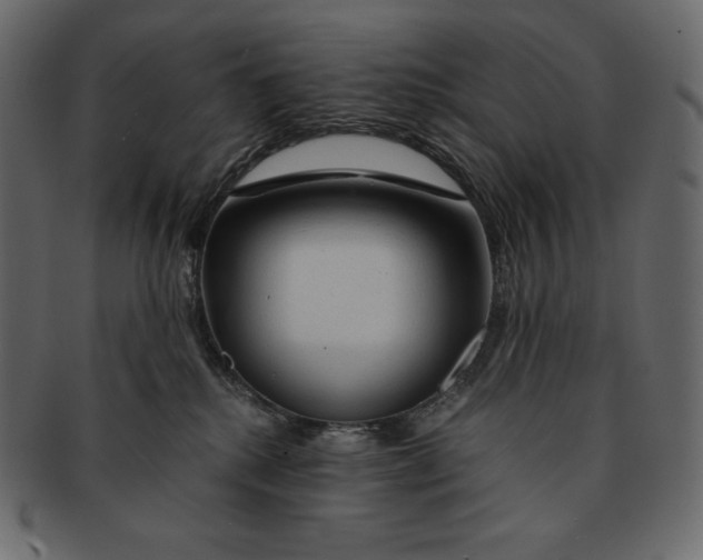 X0000091360280200709071310