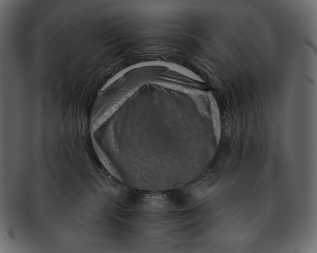 X0000091360283200709071310