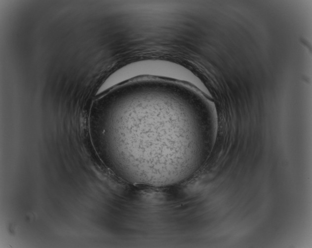 X0000091360284200709071310