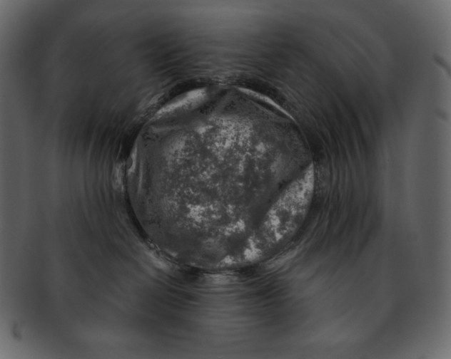 X0000091360286200709071310