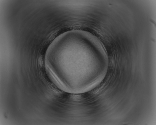 X0000091360287200709071310