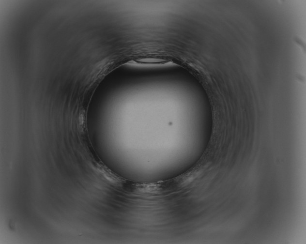 X0000091360288200709071310