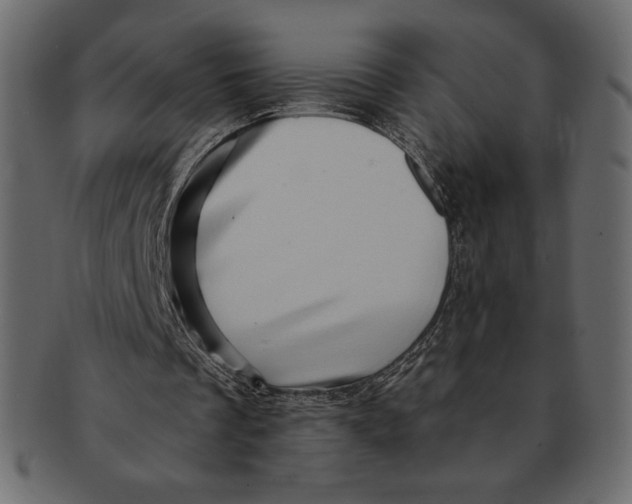 X0000091360289200709071310