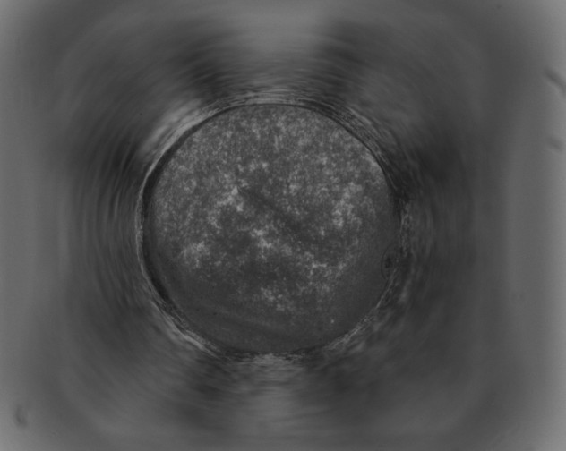 X0000091360290200709071310