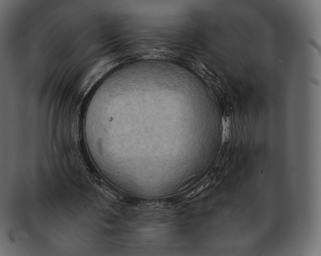 X0000091360291200709071310