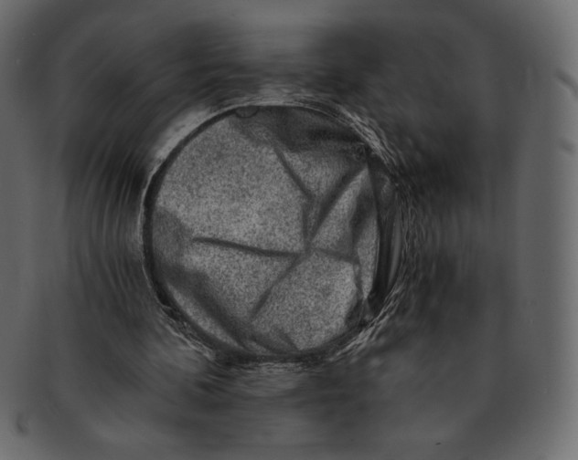 X0000091360292200709071310