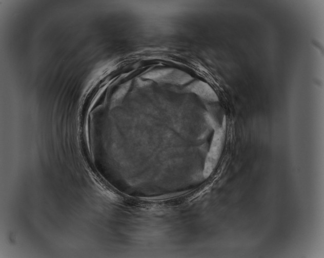 X0000091360293200709071310