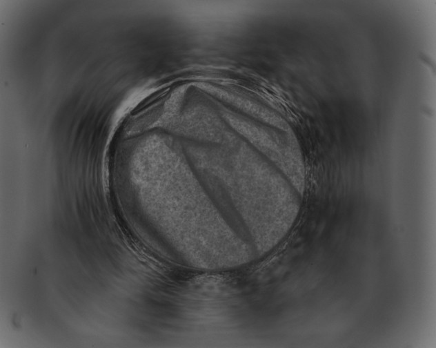 X0000091360294200709071310