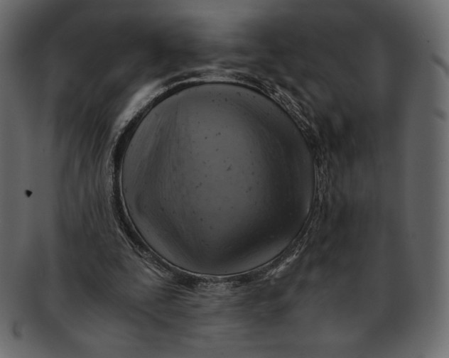 X0000091360295200709071310