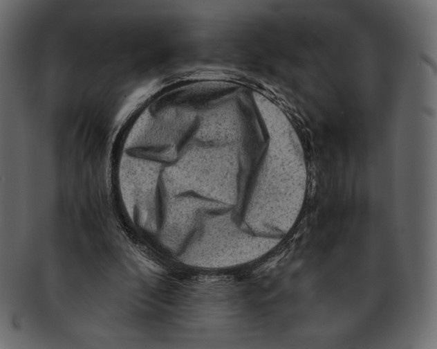 X0000091360296200709071310