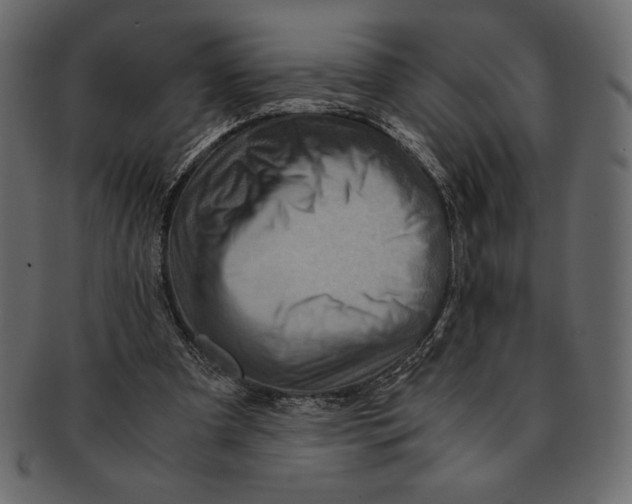 X0000091360297200709071310