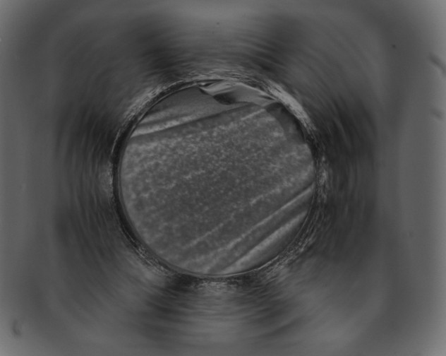 X0000091360298200709071310