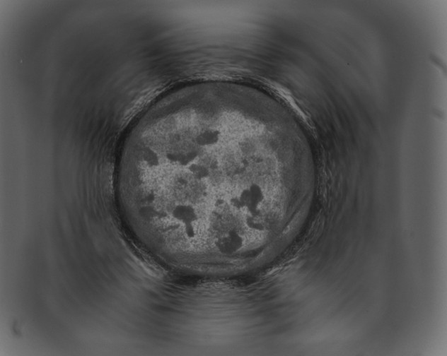 X0000091360299200709071310