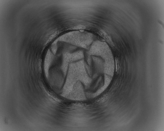 X0000091360300200709071310