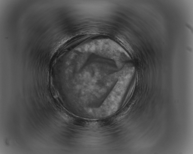 X0000091360301200709071310