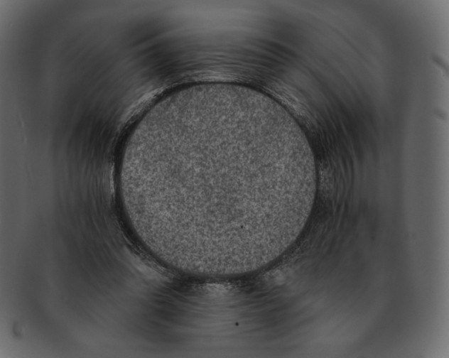 X0000091360302200709071310