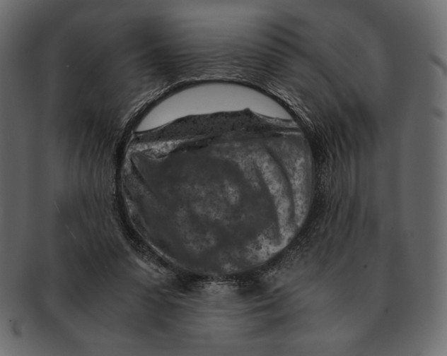 X0000091360303200709071310