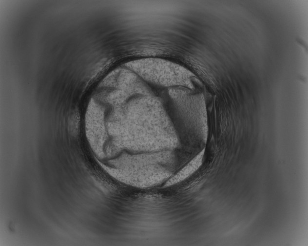 X0000091360304200709071310