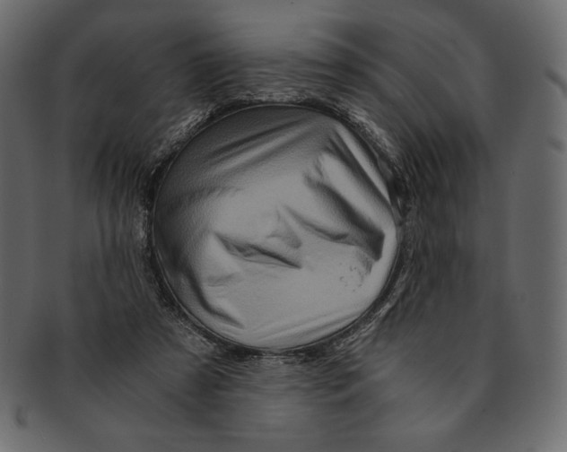 X0000091360305200709071310