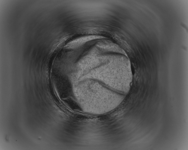 X0000091360306200709071309