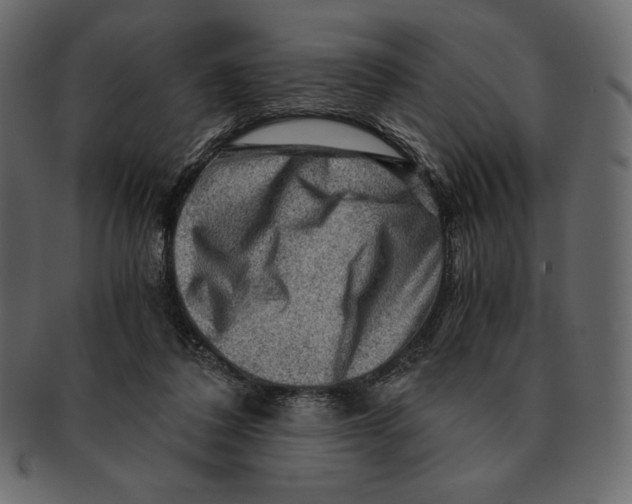 X0000091360308200709071309