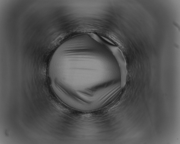 X0000091360309200709071309