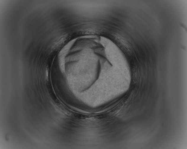 X0000091360310200709071309