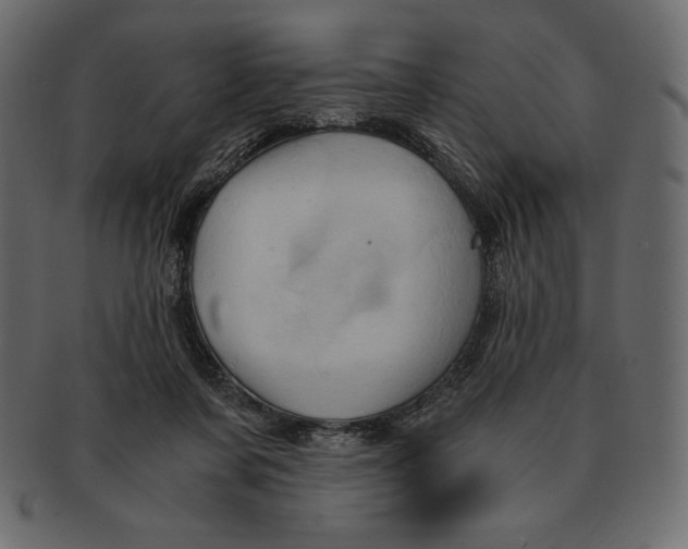 X0000091360311200709071309