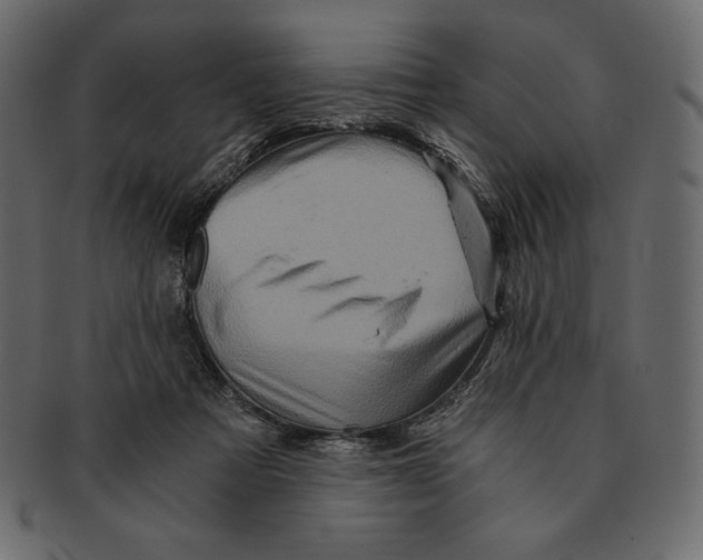 X0000091360313200709071309