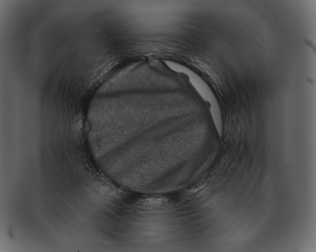 X0000091360314200709071309