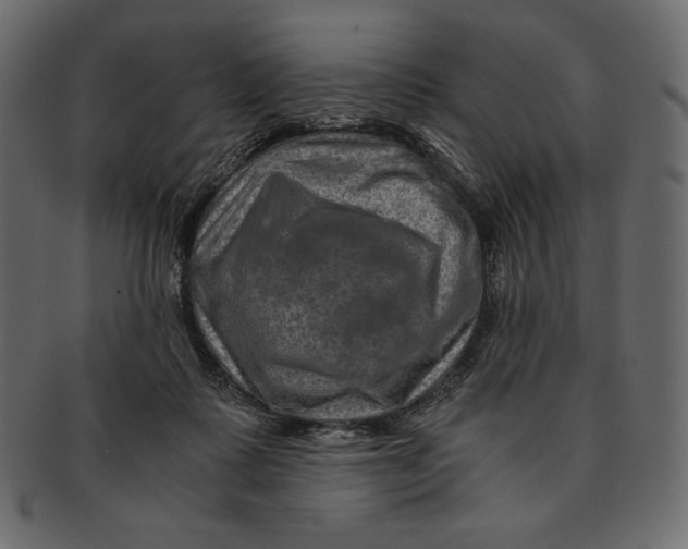 X0000091360315200709071309