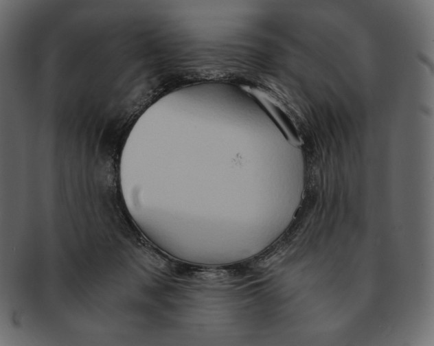 X0000091360317200709071309