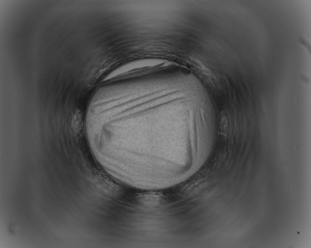 X0000091360318200709071309