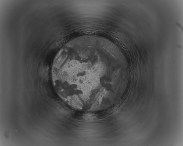 X0000091360319200709071309