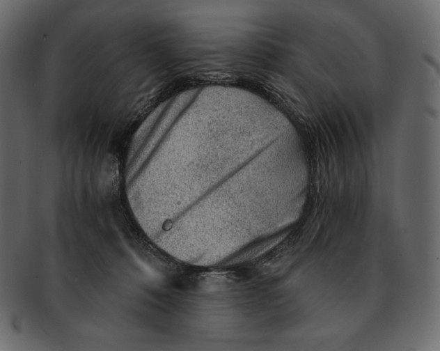 X0000091360320200709071309