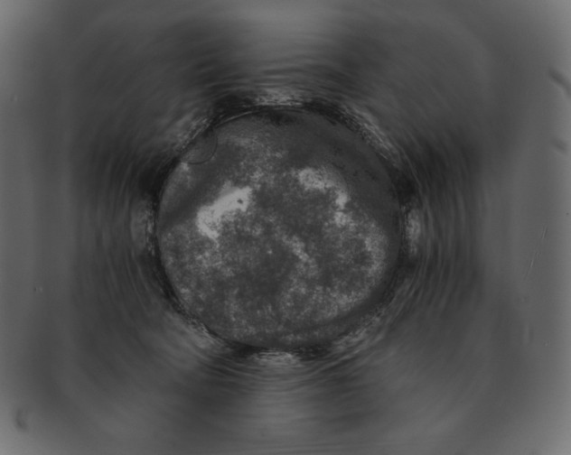 X0000091360322200709071309