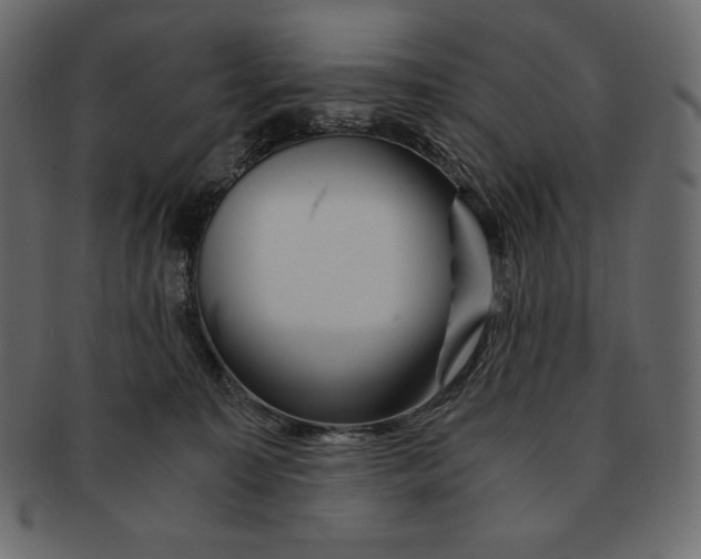 X0000091360323200709071309