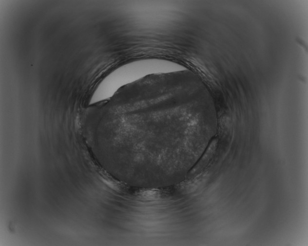 X0000091360325200709071309