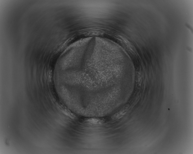 X0000091360326200709071309