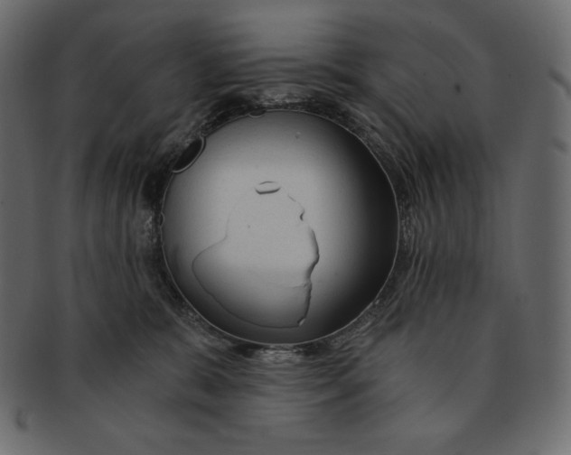 X0000091360327200709071309