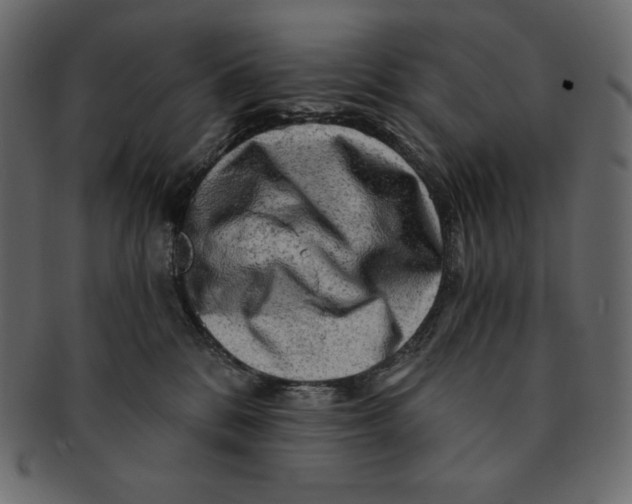 X0000091360328200709071309