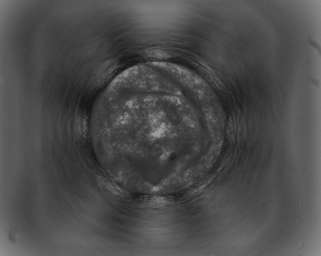 X0000091360330200709071309