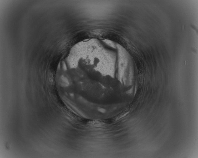 X0000091360331200709071309