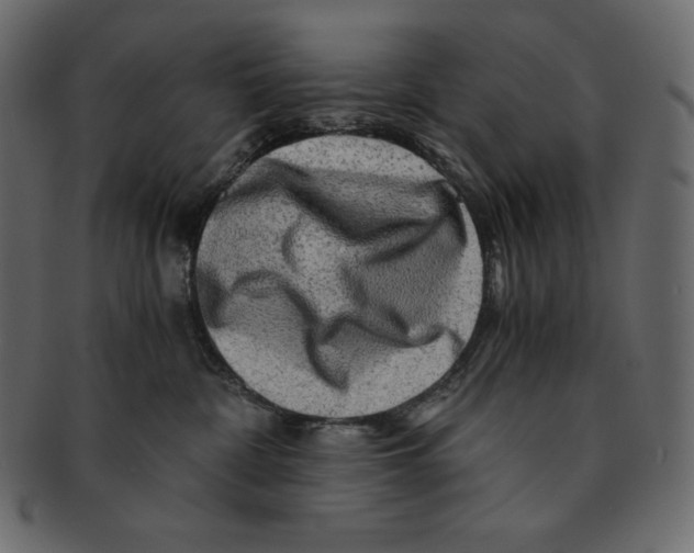 X0000091360332200709071309