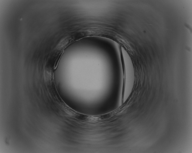 X0000091360333200709071309