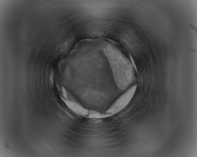 X0000091360334200709071309